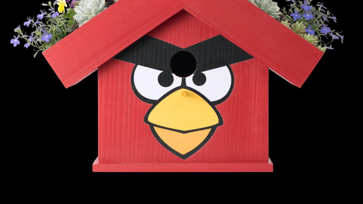 Big Bat Box Review: Cedar Bat Houses That Might Actually Get Tenants